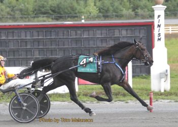 Walner fillies sweep Mass-bred dashes