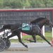 Walner fillies sweep Mass-bred dashes 2 Walner fillies sweep Mass-bred dashes