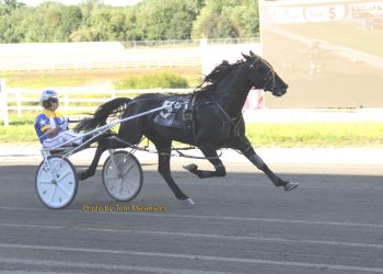 Moonshine Kisses impresses again