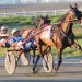 Nows The Moment delivers the goods in Open Trot
