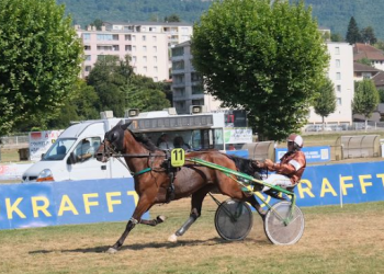 Comte des Tithais wins Trophee Vert Leg 12