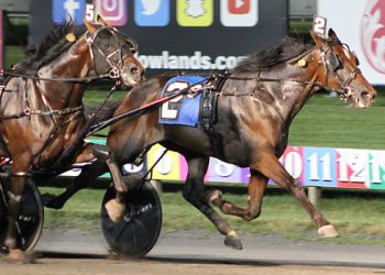 59-1 upset from Dexter Dunn-driven outsider in Muscle Hill