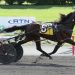 Catch The Fire repeats in $278,000 Sam McKee Memorial
