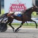 Bella Bellini brilliant in $145,000 Steele Memorial 1 Bella Bellini brilliant in $145,000 Steele Memorial