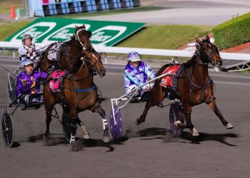 Queensland harness racing wrap