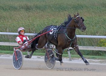 Minnesota-breds prep for Night of Champions