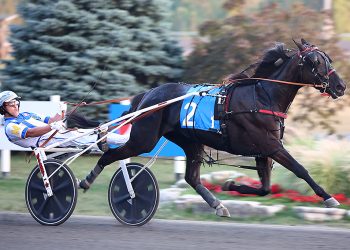 Another big win for Twin B Archie in $165,725 Simcoe