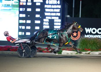 Fourever Boy gives Twaddle a special night