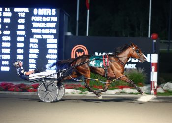 Sylvia Hanover breaks Champlain Stakes record