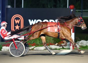 Righteous Resolve slashes Champlain stakes record