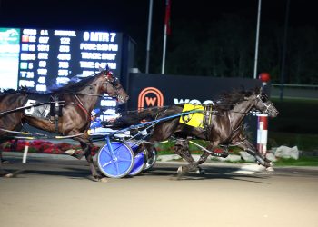 As close as it gets for Gallucci stablemates