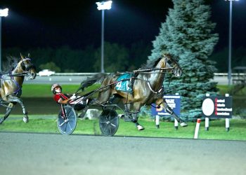 Bulldog Hanover makes more history in $650,000 Canadian Pacing Derby