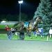 Bulldog Hanover makes more history in $650,000 Canadian Pacing Derby