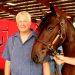 Volstead yearling brings record price in Ohio 2 Volstead yearling brings record price in Ohio