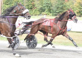 Case gets hat trick at Farmington Fair