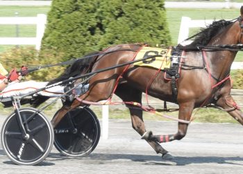 Nick Graffam hits hundredth win at Bangor