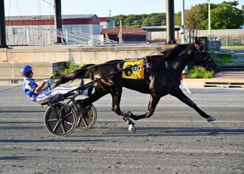 Parked the mile, Swan In Motion still romps