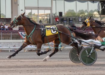 Two-Time PA Champ Captain Cowgirl overpowering