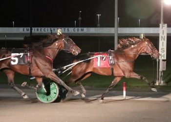 Dube takes Stormy Kromer down the road