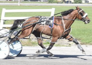 Adriano Hanover scores closing day at Bangor