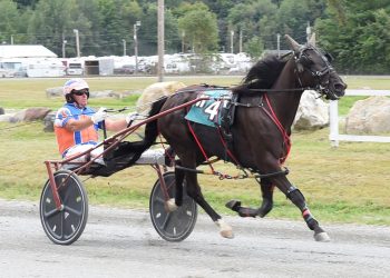 Ugotaearnyrstripes best yet at Farmington