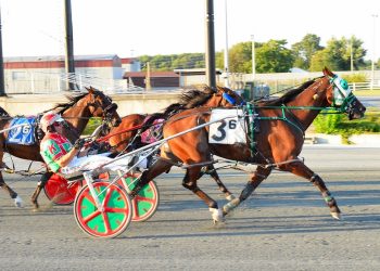 19-1 long shot upsets in Open