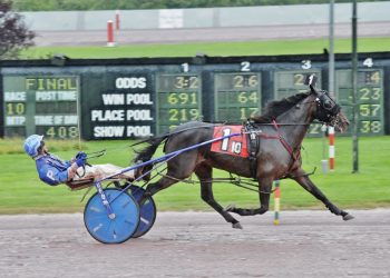 Milieau Hanover proves to be much the best