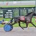 Milieau Hanover proves to be much the best 2 Milieau Hanover proves to be much the best