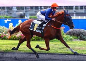 120,000€ Gr. II Monte tests at Vincennes