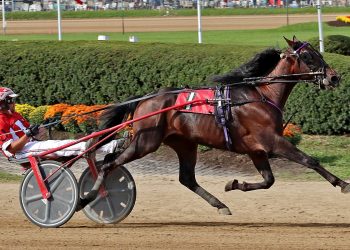 World record set in Ohio Breeders Championship