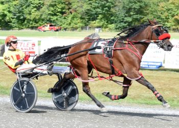 Maine stars battle for perfection