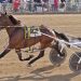Bythemissal and Page dominate Little Brown Jug