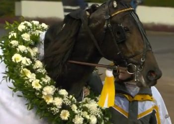 Svenskt Trav Kriterium and Oaks at Solvalla