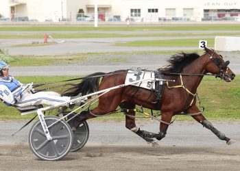 Two-year-old fillies show off at Hippodrome 3R