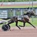 Gangster Hanover trots to lifetime best