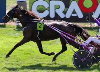 11-1 Fine Perle Of Love wins Trophee Vert Finale