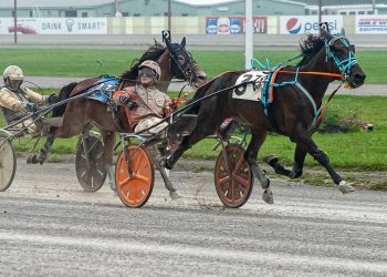 12-1 Franks Watching revels in the rain