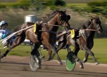 Francesco Zet captures 2022 Svensk TravDerby