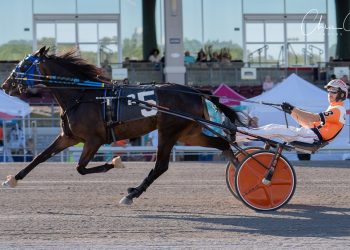 Speed the key for Pop-Up Series winners