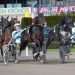 Sweden Kriterium and Oaks elims at Solvalla