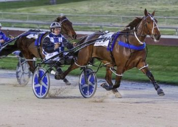 Big night out for Stonewall Stud