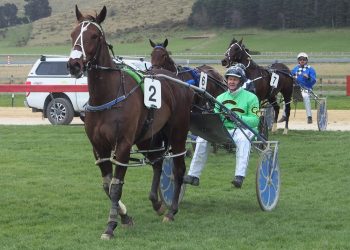 Bettor’s Delight three year old showing signs of a champion