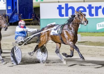 Changing of the trotting guard