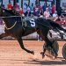 Retirement ceremonies for Atlanta and Bulldog Hanover 1 Atlanta to retire after Grand Circuit Tour