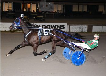 Birdman soars over field at Vernon