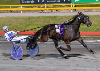 Pacer smashes the Albion Park track record