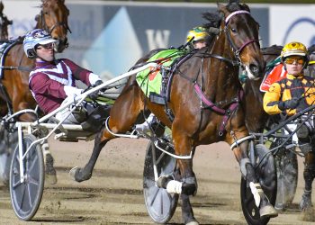 Kiwi filly wins Group Three Norms Daughter Ladyship Stakes