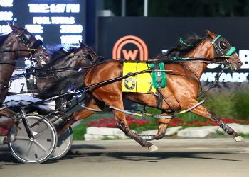 Gallucci’s big week gets even sweeter