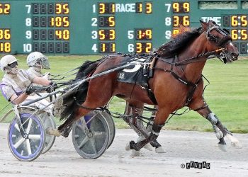 Charlie May has home field advantage in Ewart