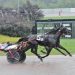 Tight finishes in rainy $40,000 PA Stallion Series finals
